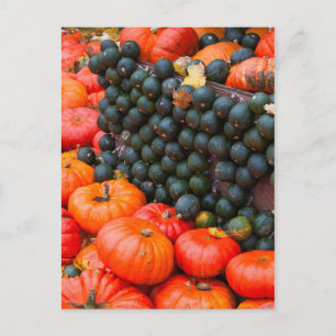 Herbstpumpen Nah Postkarte