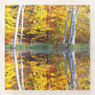 Herbstreflektion Glasuntersetzer