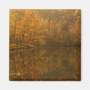 Herbstreflektionen auf dem Teich. Magnet