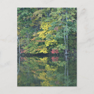 Herbstreflektionen Postkarte