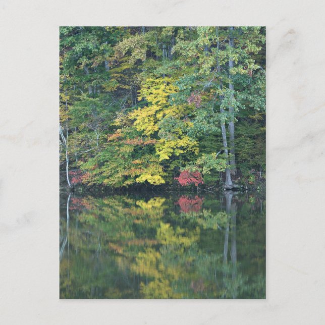 Herbstreflektionen Postkarte (Vorderseite)
