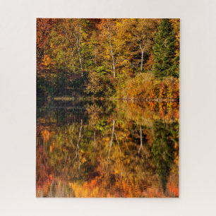 Herbstreflexion am Coffin Pond
