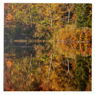 Herbstreflexion am Coffin Pond Fliese