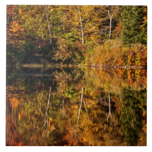 Herbstreflexion am Coffin Pond Fliese (Vorderseite)