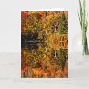 Herbstreflexion am Coffin Pond Karte