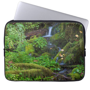 Herbstregenwald   Olympic-Nationalpark Laptopschutzhülle