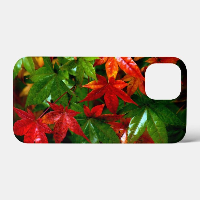 Herbstrennen Case-Mate iPhone Hülle (Rückseite (Horizontal))
