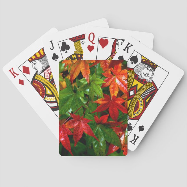 Herbstrennen Spielkarten (Rückseite)