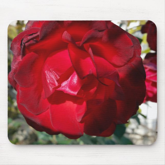Herbstrot Mousepad (Vorne)
