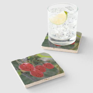 Herbstrote Flecken Steinuntersetzer