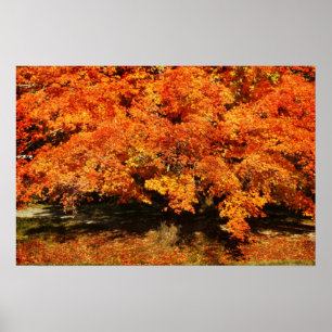 Herbstruhr Poster