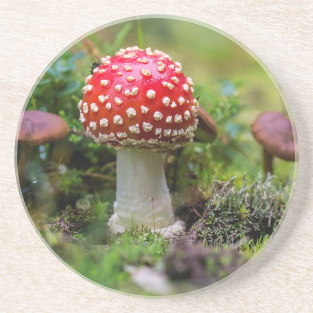 Herbstschönheit Sandstein Untersetzer (Vorne)