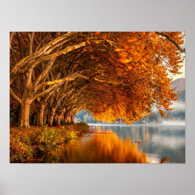 Herbstsee-Baumtunnel-Kunst Poster (Vorne)