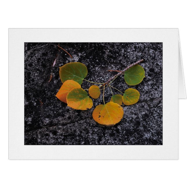 "HerbstShades" (Vorderseite (Horizontal))