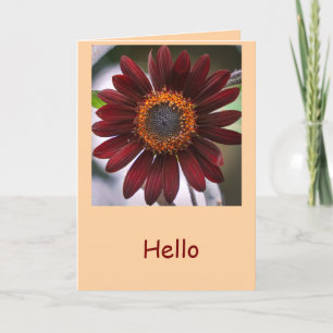 Herbstsonnenblumen Karte