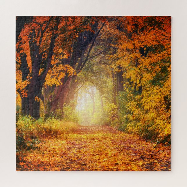 Herbstsonnenlandschaft 20" x 20" (Horizontal)