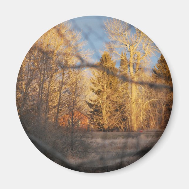 Herbstsonnenschein Magnet (Vorne)