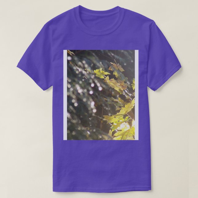 Herbstsonnenstrahlen 53 T-Shirt (Design vorne)