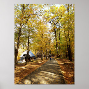Herbstspaziergang durch den Park Poster