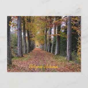 Herbstspaziergang in Belgien Postkarte