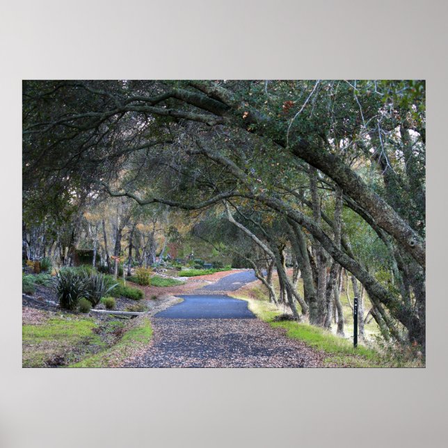 "Herbstspaziergang" Poster (Vorne)