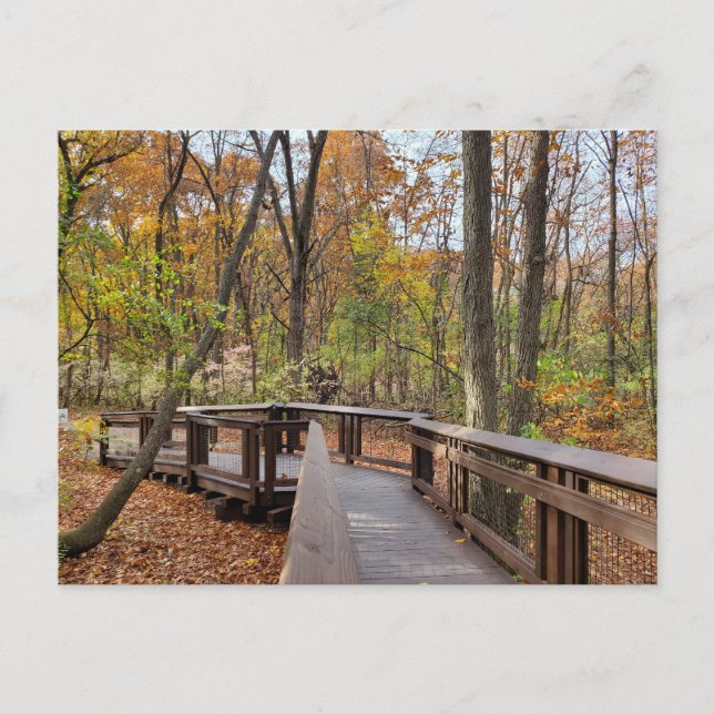 Herbstspaziergang Postkarte (Vorderseite)