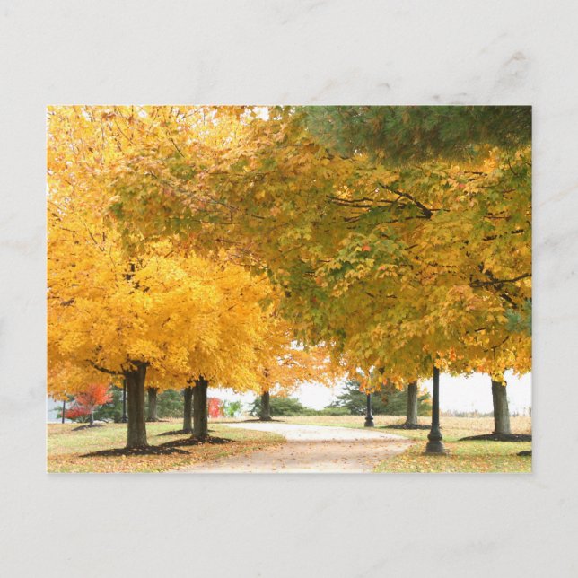 Herbstspaziergang Postkarte (Vorderseite)