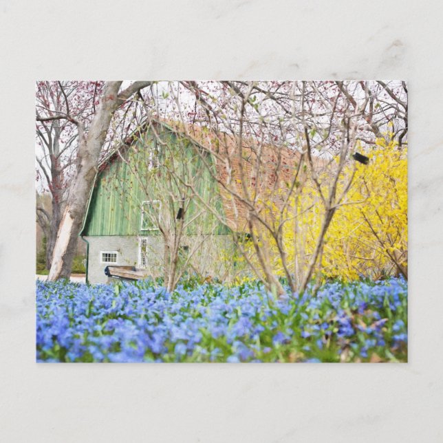 Herbststall mit blauer Blume Postkarte (Vorderseite)