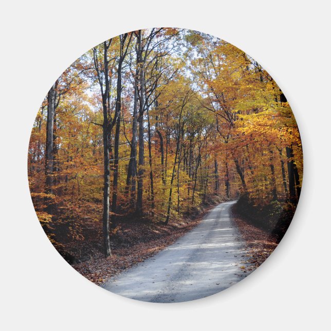 Herbststraße Magnet (Vorne)