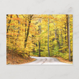 Herbststraße Postkarte