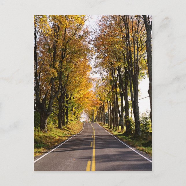 Herbststraße Postkarte (Vorderseite)