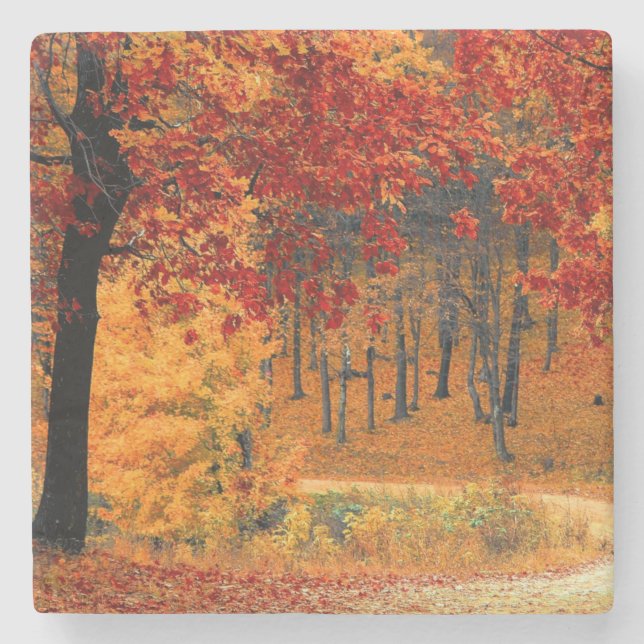 Herbststraße Steinuntersetzer (Vorderseite)