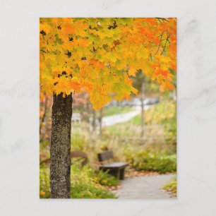 Herbstszene Postkarte