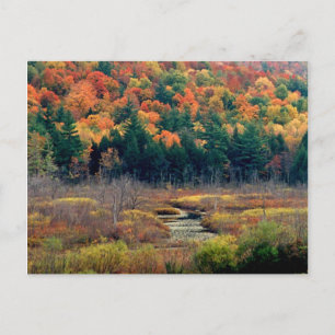 Herbstszene Postkarte
