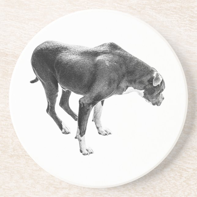 Herbsttafelwächter Getränkeuntersetzer (Vorne)