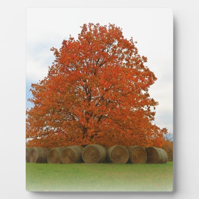 Herbsttag Fotoplatte (Vorderseite)