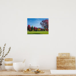 Herbsttag im Park Poster