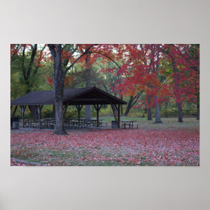 Herbsttag in Park Poster