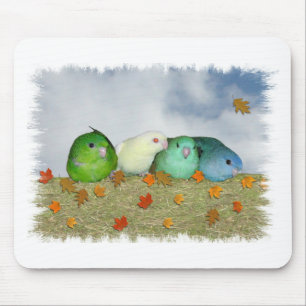 Herbsttag Mousepad