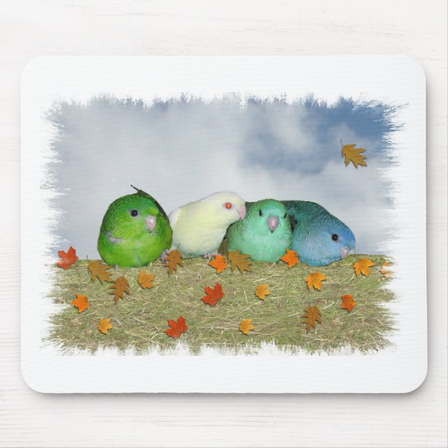 Herbsttag Mousepad (Vorne)