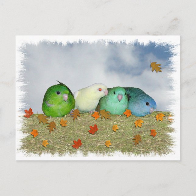 Herbsttag Postkarte (Vorderseite)