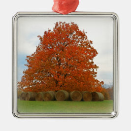 Herbsttag Silbernes Ornament