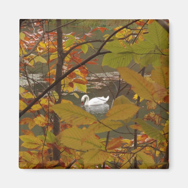Herbstteich mit Schwan Magnet (Vorne)