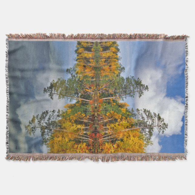 Herbstteich Reflektionen, Maine Decke (Vorderseite)