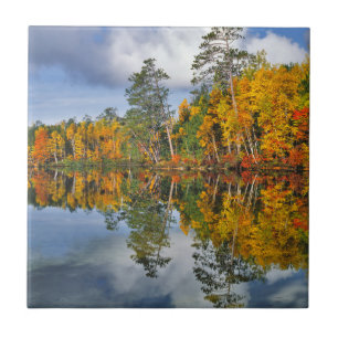 Herbstteichreflexionen, Maine Fliese