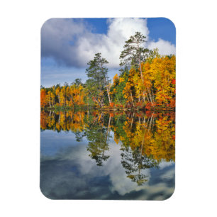 Herbstteichreflexionen, Maine Magnet