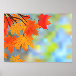 Herbstthema Schönes Poster