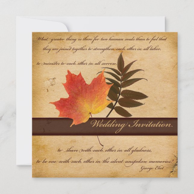 Herbstübergänge bei der Einladung zum Altpapier-II (Vorderseite)
