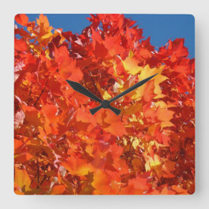 Herbstuhren Orange Fall Baum Blätter individuell Quadratische Wanduhr