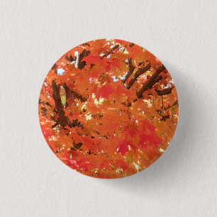 Herbstunterschiede 1 button